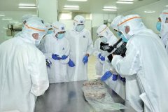 什么是P3實驗室，建立P3實驗室的要求是怎樣